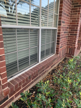 Close up of a bug screen on a window